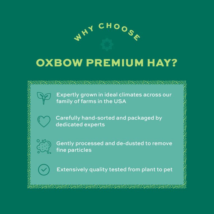 Oxbow Animal Health Foraging Hay Blend Teff & Western Timothy, 40 oz