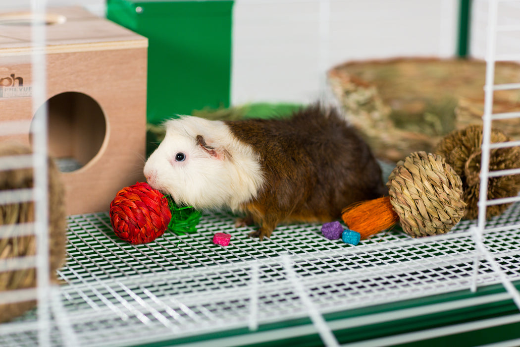 Prevue Pet Products Guinea Pig Hut