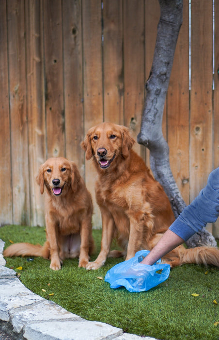 Four Paws Wee-Wee Outdoor Odor Control Heavy Duty Dog Waste Bags Refill Rolls (120 Count)