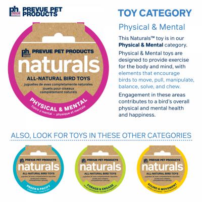 Prevue Pet Products Naturals Lava Cubes & Spheres Bird Toy