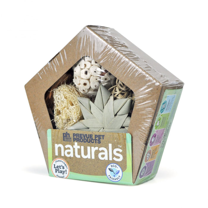 Prevue Pet Products Pentagon Forage 'N Play Box for Small Animals
