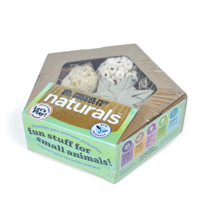 Prevue Pet Products Pentagon Forage 'N Play Box for Small Animals