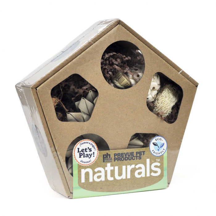 Prevue Pet Products Pentagon Forage 'N Play Box for Small Animals