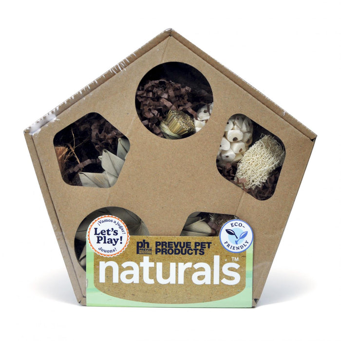 Prevue Pet Products Pentagon Forage 'N Play Box for Small Animals