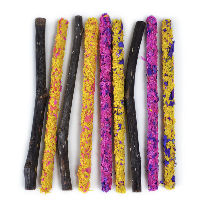Prevue Pet Products Festival Chews for Small Animals
