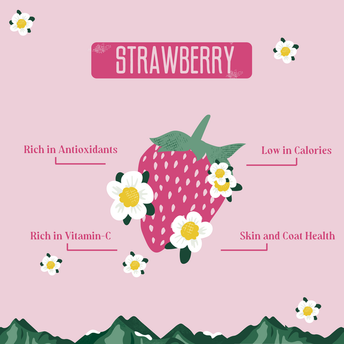 Yak9 Chews Strawberry Cheese Chews for Dogs - 3 - Image 27