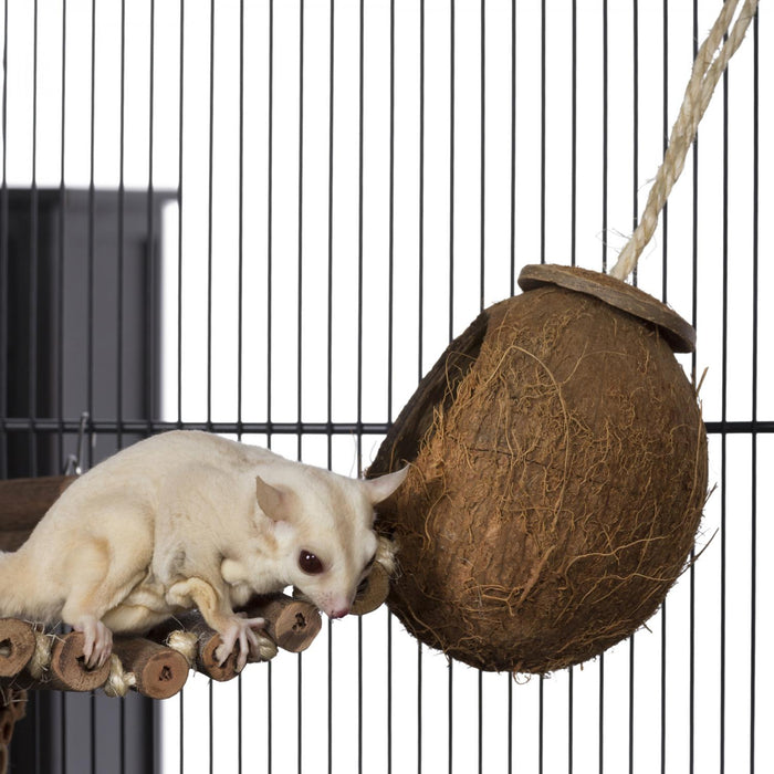 Prevue Pet Products Coco Hideaway with Ladder for Small Animals