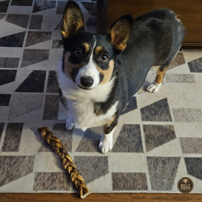 Bully Bunches 10-12 Inch Braided Collagen Stick