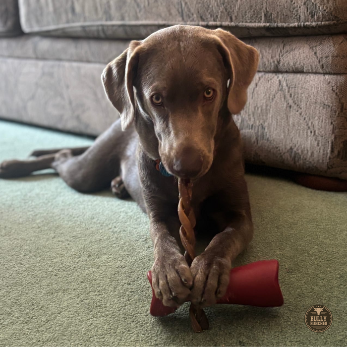 Bully Bunches 10-12 Inch Braided Collagen Stick