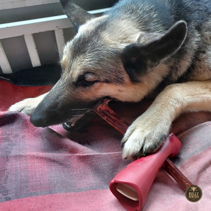 Bully Bunches 10-12 Inch Champion Chew