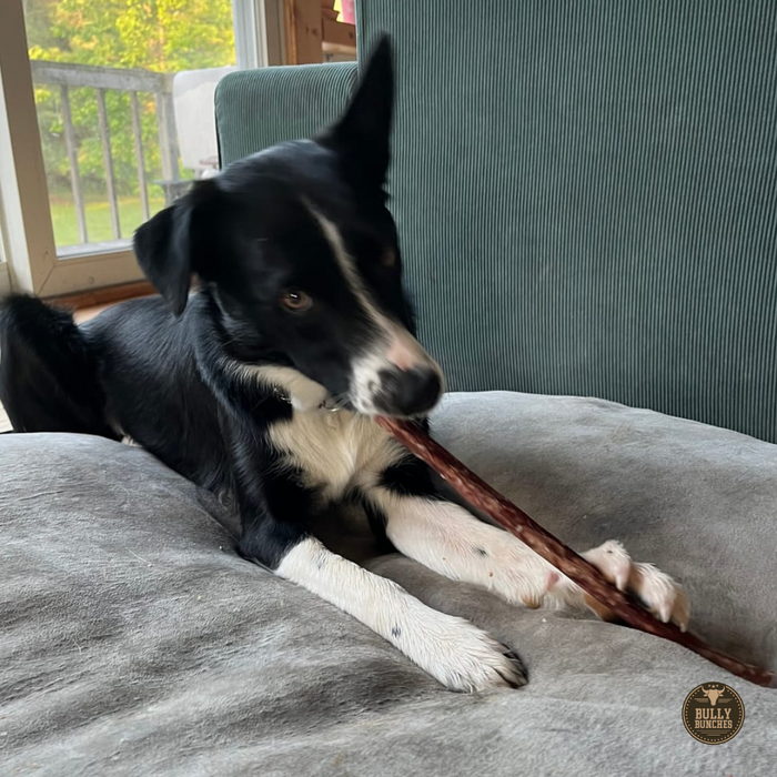 Bully Bunches 10-12 Inch Champion Chew