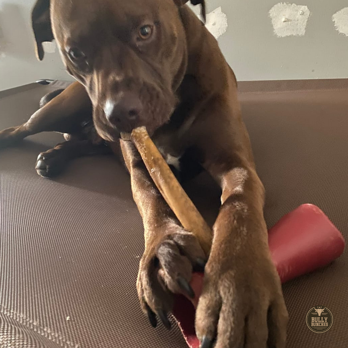 Bully Bunches 10-12 Inch Collagen Stick