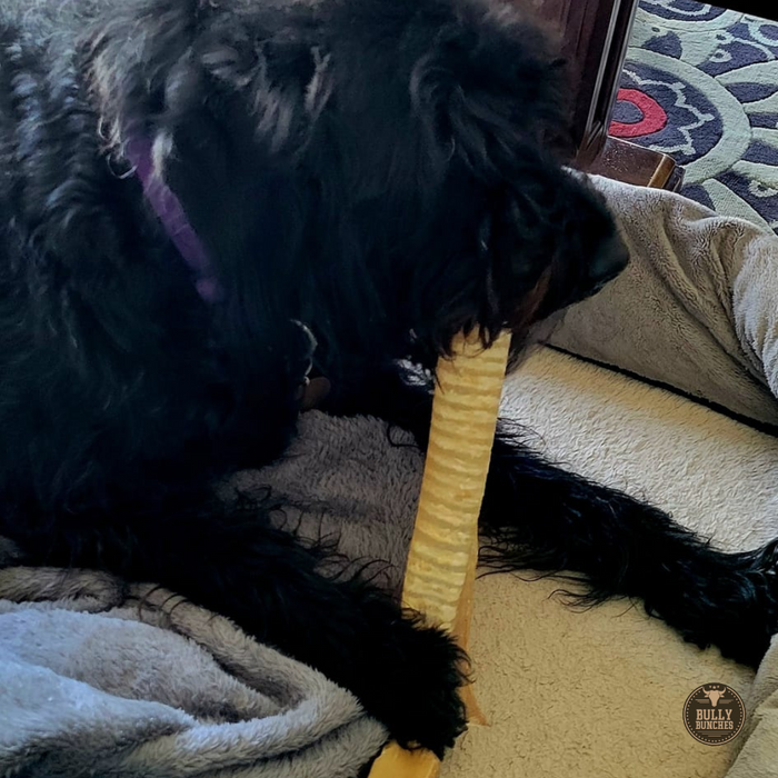 Bully Bunches 12 Inch Beef Trachea