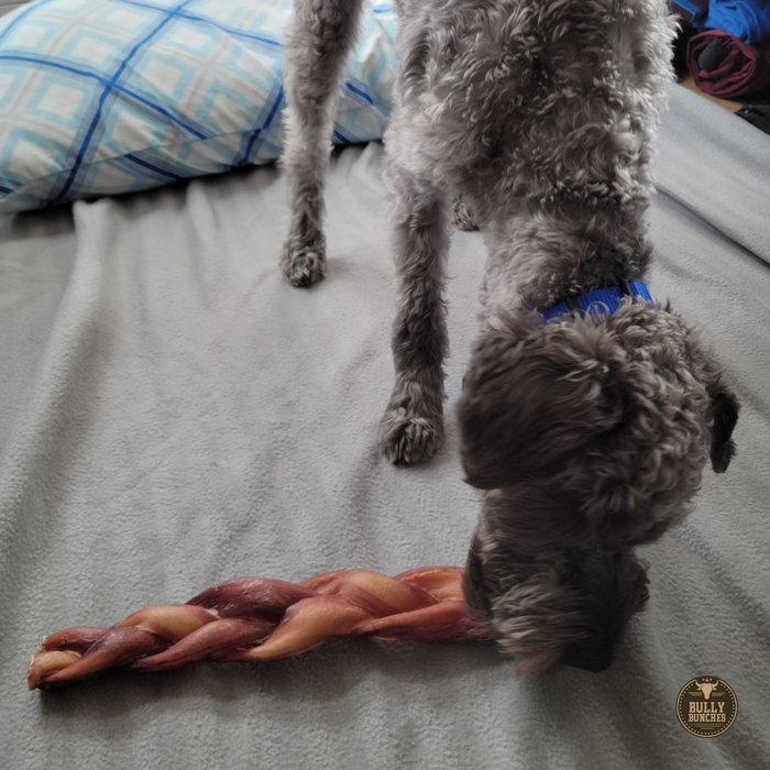Bully Bunches 12 Inch Monster Braided Bully Stick