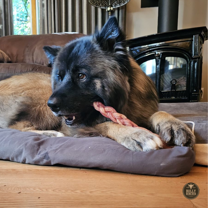 Bully Bunches 12 Inch Thick Braided Bully Stick