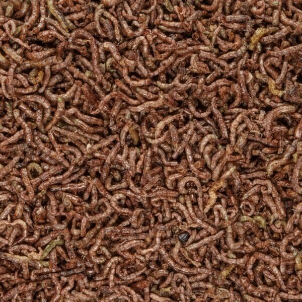 San Francisco Bay Brand Betta Food Bloodworms Freeze Dried Fish Food 0.035 oz