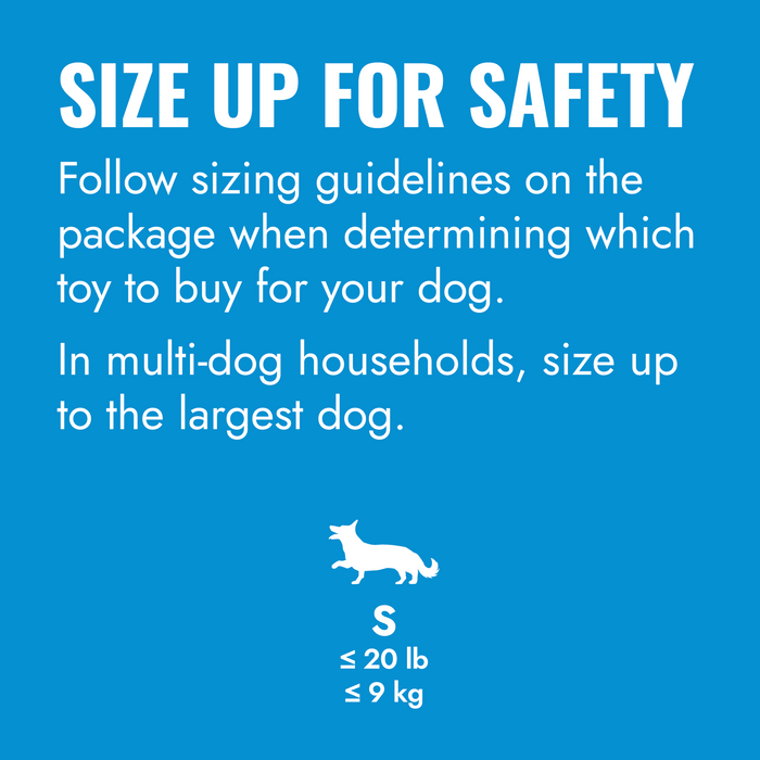 KONG Flyer Dog Toy Assorted Puppy - 10 - Image 13