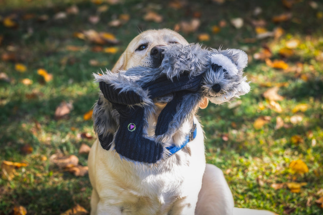 HuggleHounds Redwood Raccoon X-Brace™ Plush Dog Toy