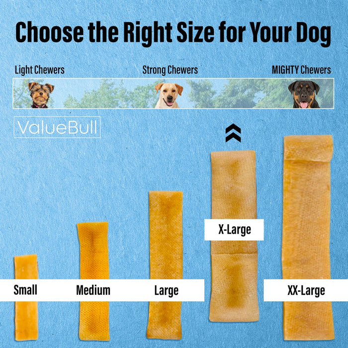 Value Pet Supplies ValueBull Himalayan Yak Cheese Dog Chews, Extra Large - 10 ct