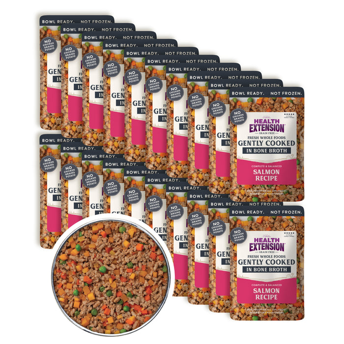 Health Extension Gently Cooked Grain Free Salmon Recipe - 15 - Image 17