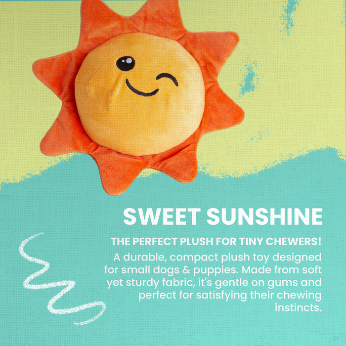 SnugArooz Sweet Sunshine Plush Dog Toy