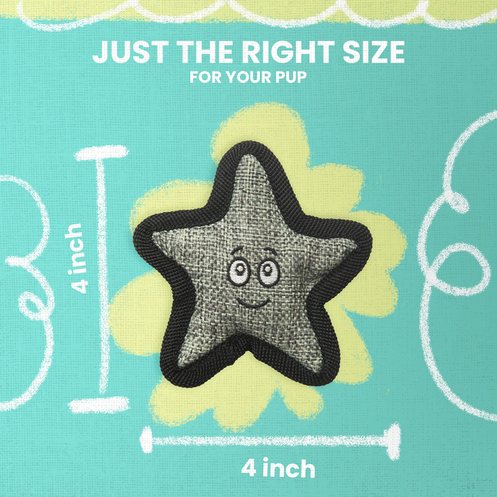 SnugArooz Kitty Starfish with Catnip Plush Cat Toy