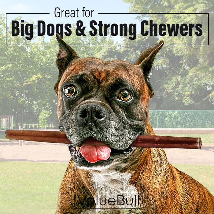 Value Pet Supplies ValueBull Bully Sticks for Large Dogs, Thick 12 Inch, 100 Count