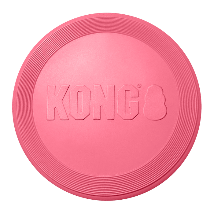 KONG Flyer Dog Toy Assorted Puppy - 4 - Image 13