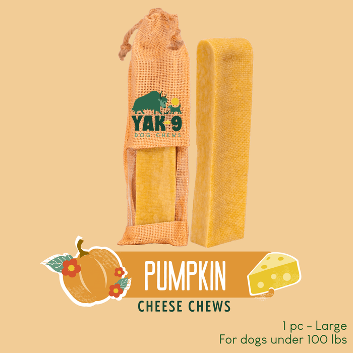 Yak9 Chews Pumpkin Cheese Chews for Dogs - 20 - Image 25