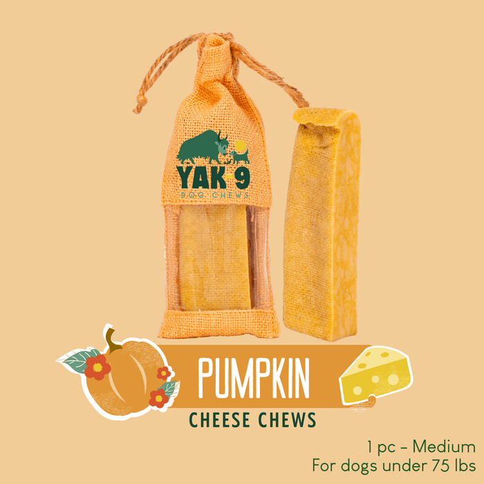 Yak9 Chews Pumpkin Cheese Chews for Dogs - 21 - Image 25