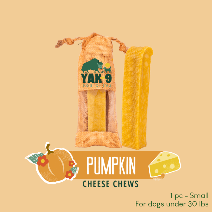 Yak9 Chews Pumpkin Cheese Chews for Dogs - 23 - Image 25