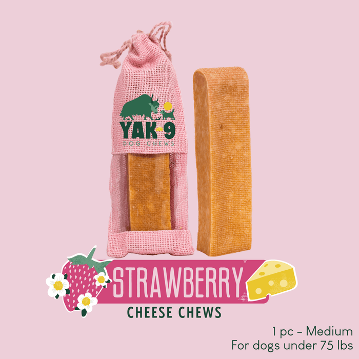 Yak9 Chews Strawberry Cheese Chews for Dogs - 22 - Image 27