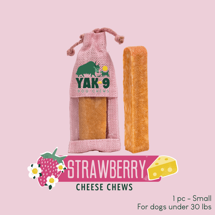 Yak9 Chews Strawberry Cheese Chews for Dogs - 23 - Image 27