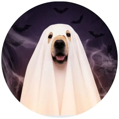 Dog Halloween shop