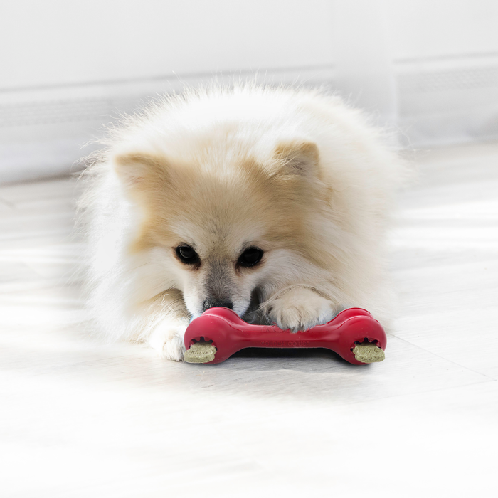 KONG Goodie Bone Dog Toy SM - 3 - Image 11