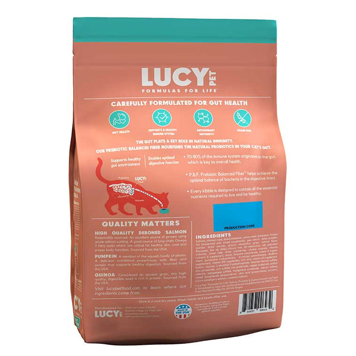 Lucy Pet Products Formulas for Life Dry Cat Food Salmon, Pumpkin & Quinoa 4lbs