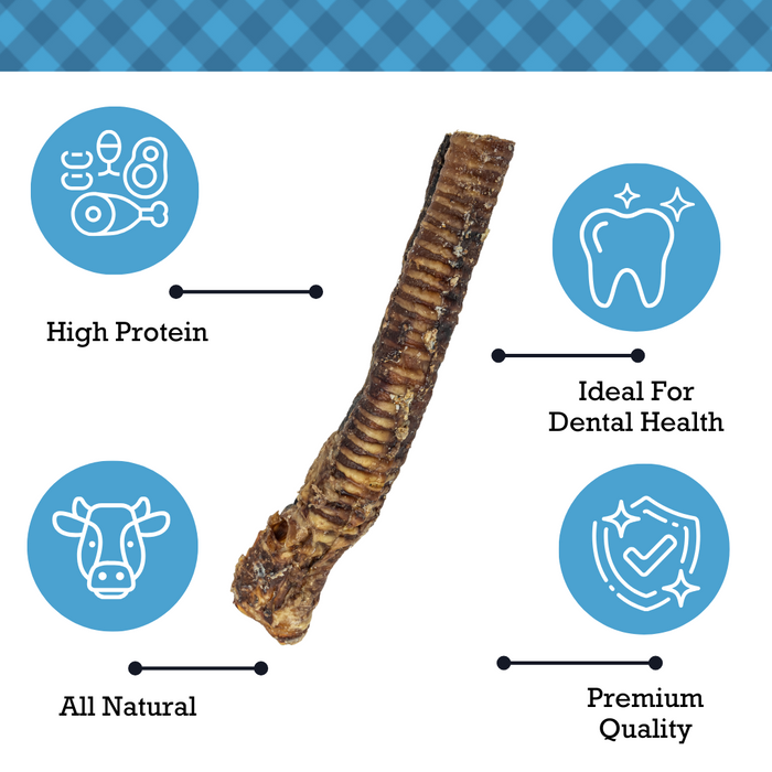 Country Living All-Natural Beef Trachea Dog Treats, Protein-Packed Chews – 12 Inches (5-Pack)