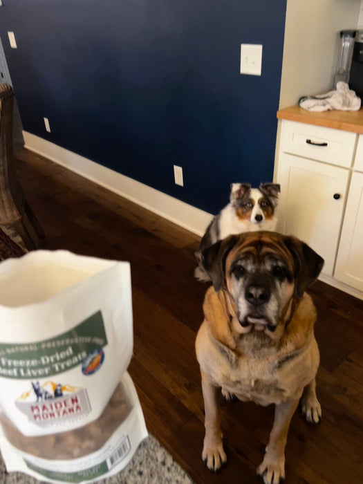 Maiden Montana Freeze Dried Beef Liver Treats 12oz