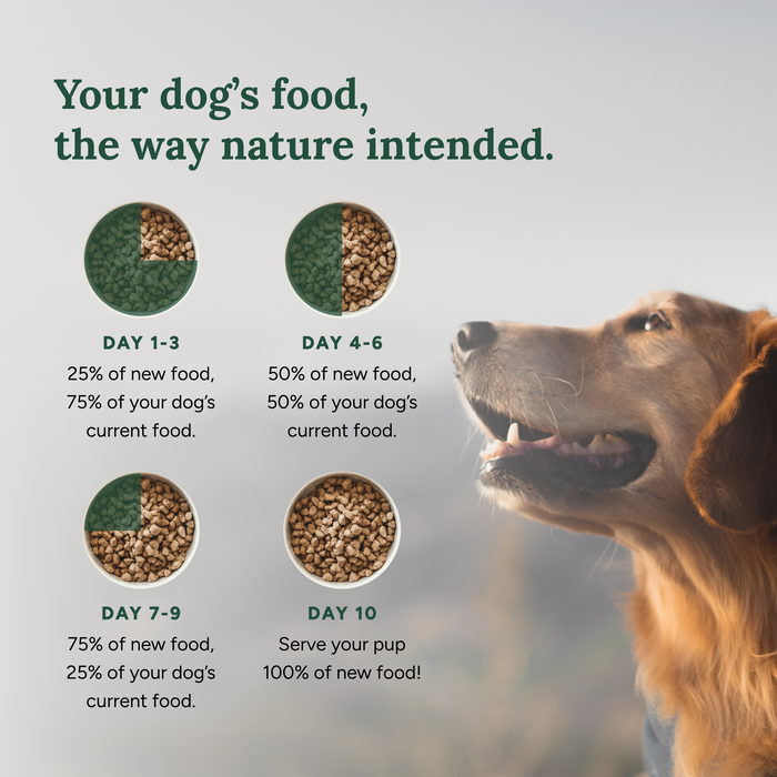 360 Pet Nutrition Chicken Freeze Dried Raw Formula 5oz