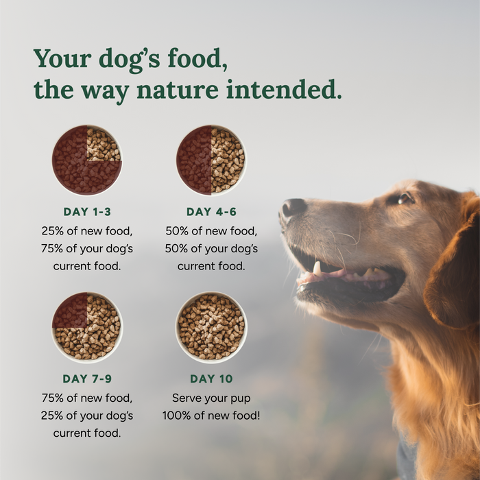 360 Pet Nutrition Multi-Protein Adult Freeze-Dried Raw Formula 5oz
