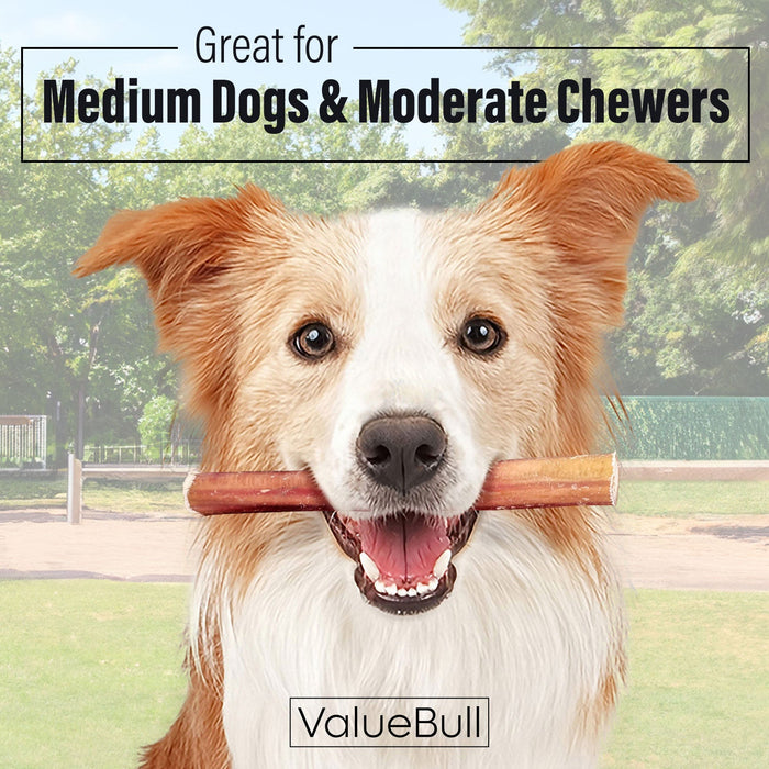 Value Pet Supplies ValueBull Bully Sticks for Dogs, Medium 6 Inch, 50 Count