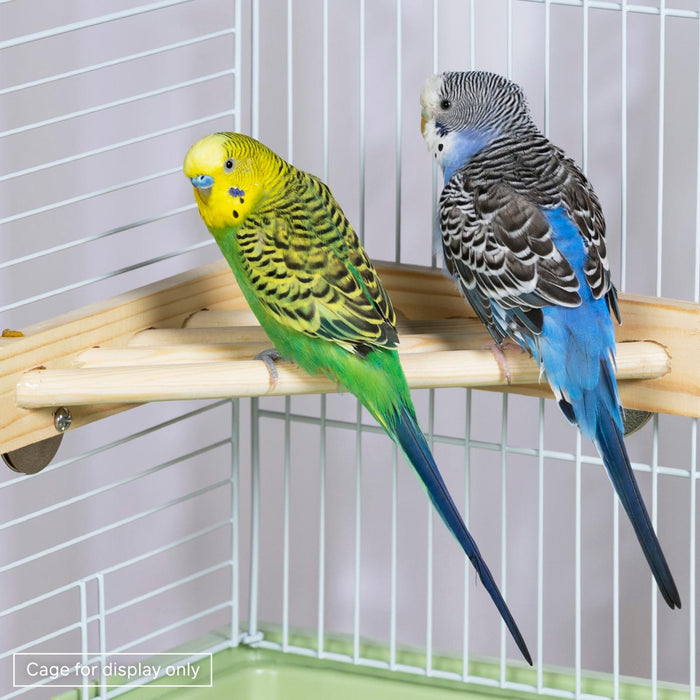 Prevue Pet Products Wood Corner Shelf Platform for Bird Cage