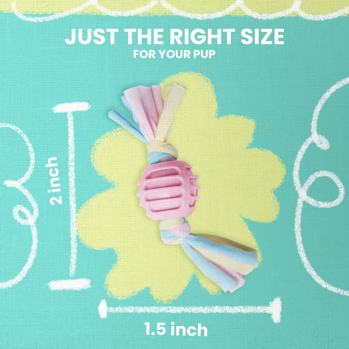 SnugArooz Snuggle Ball Rope Dog Toy