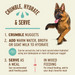 Primal Pet Foods Turkey & Sardine Formula Freeze-Dried Raw Nuggets Dog Food - 8 - Image 12