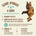 Primal Pet Foods Lamb Formula Freeze-Dried Pronto Dog Food - 7 - Image 11