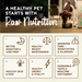Primal Pet Foods Chicken Recipe Kibble in the Raw Dog Food - 8 - Image 14