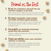 Primal Pet Foods Duck made with Turkey & Fish Formula Freeze-Dried Raw Nuggets Dog Food - 6 - Image 11