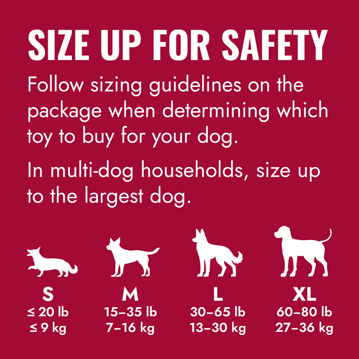 KONG Goodie Bone Dog Toy SM - 8 - Image 11