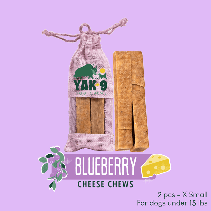 Yak9 Chews Blueberry Cheese Chews for Dogs - 22 - Image 25