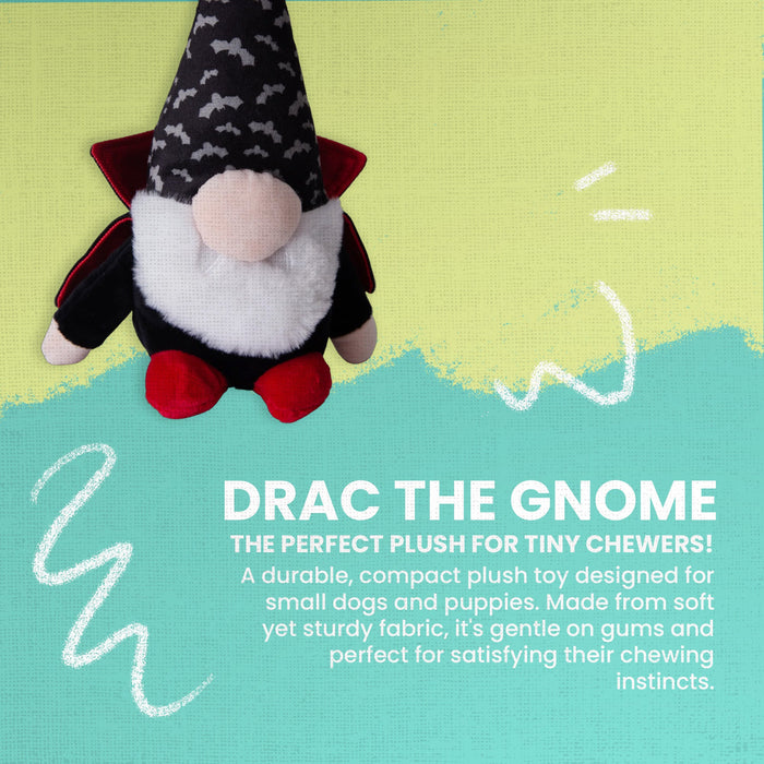 SnugArooz Drac the Gnome Plush Dog Toy